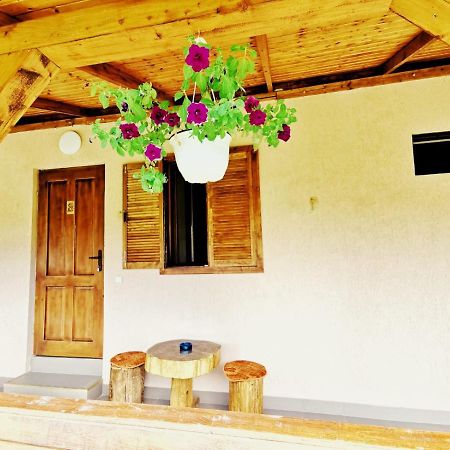 Casa Borcean 2 Guest House Sasca Montana Exterior photo