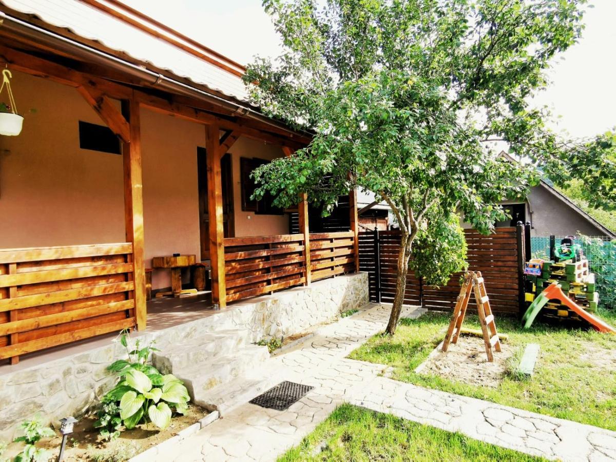 Casa Borcean 2 Guest House Sasca Montana Exterior photo