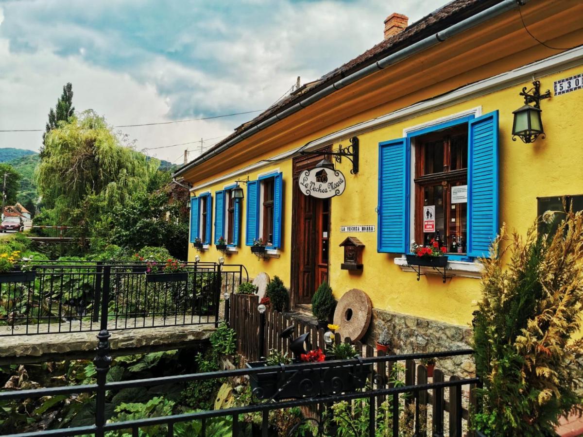 Casa Borcean 2 Guest House Sasca Montana Exterior photo